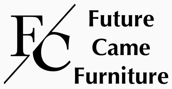 Future came Furniture
