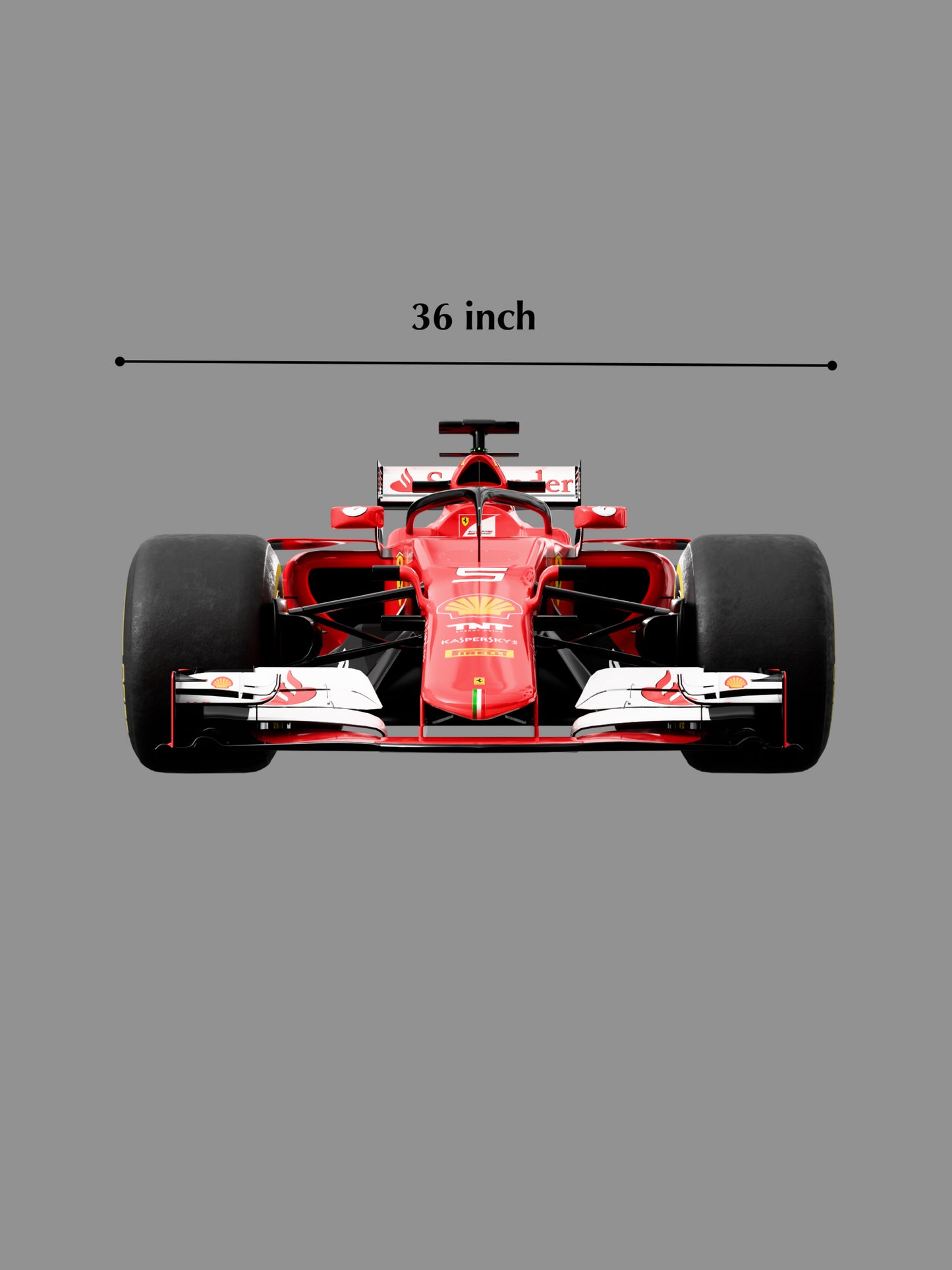 F1 Race Wall Decoration