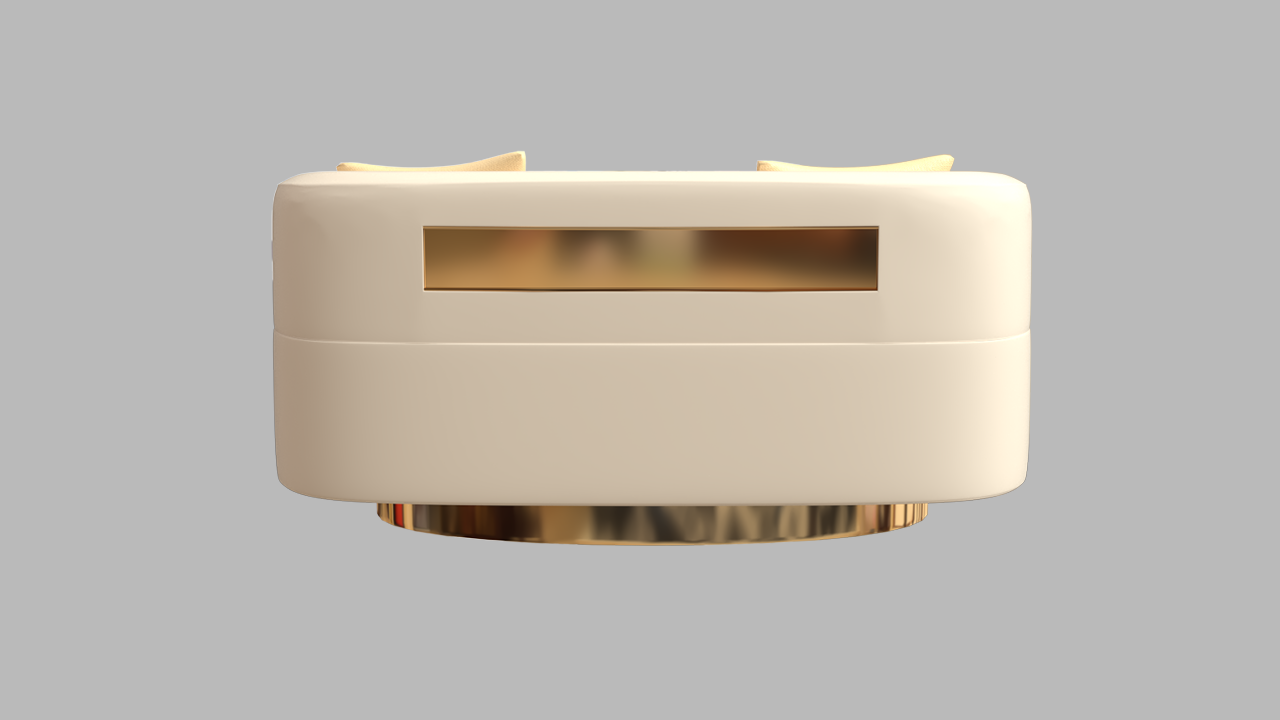 （副本）Gold accessories