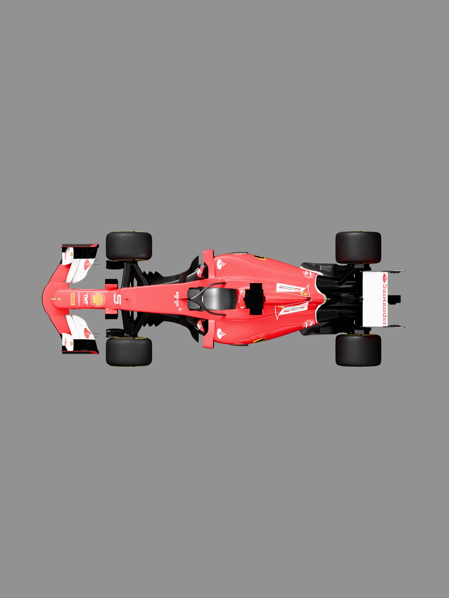 F1 Race Wall Decoration